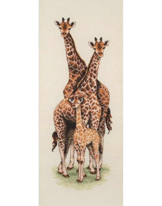 PCE740 - Giraffe Family